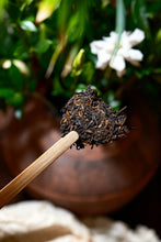 Load image into Gallery viewer, Tongxin She Curated Collection | 2004 Laotong‑zhi First‑Edition Special‑Edition Ripe Pu‑erh Tea With Exclusive Serial Number · Master Zou Bingliang’s Private‑Cellar Aged Tea (8g Tasting Sample)
