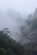 Load image into Gallery viewer, 2025 Tongxinshe Teahouse Tribute Da Hong Pao &quot;Anxiang (Hidden Fragrance)&quot; Makes a Grand Debut
