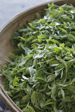 Load image into Gallery viewer, 2025 Tongxinshe Teahouse Launches a Rare Dancong Tea – Ancient Tree Big Bone Tribute Dancong/古树大骨贡
