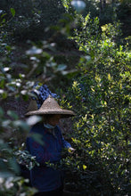 Load image into Gallery viewer, Tongxin She Teahouse 2025 Limited Launch | Handmade Bai Jiguan by Gao Peng and His Mother, A Cup Holds the Elegance of Wuyi白鸡冠。
