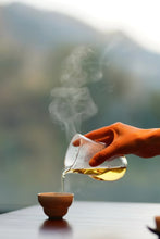 Load image into Gallery viewer, 2025 Tongxinshe Teahouse Launches a Rare Dancong Tea – Ancient Tree Big Bone Tribute Dancong/古树大骨贡
