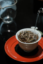 Load image into Gallery viewer, Aged Charm in a Cup of Vintage Silver Needle Tongxin Teahouse’s 2009 Fuding Baihao Yinzhen Collection
