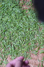 Load image into Gallery viewer, 2026 Tongxinshe Tea Origin Trace | Tongmu Pass Floral Jinjunmei, A True Mountain Terroir Flavor
