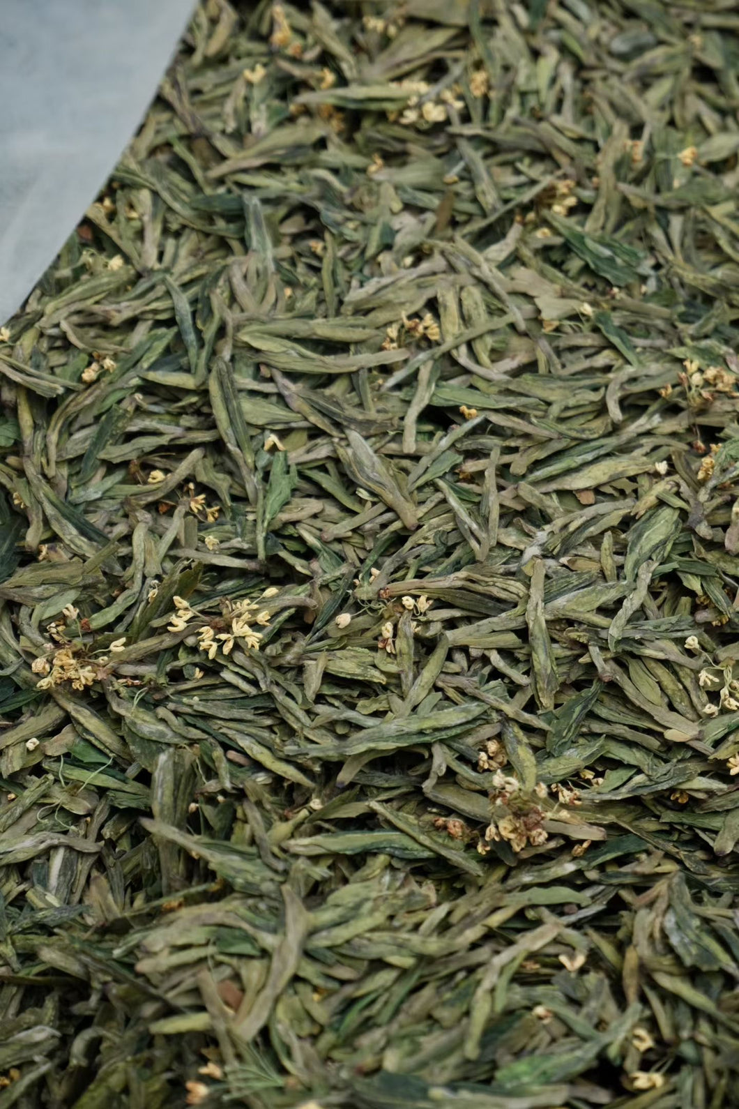 Tongxinshe Teahouse | Presale of Sweet Osmanthus Longjing Tea Launches: A Cup of 