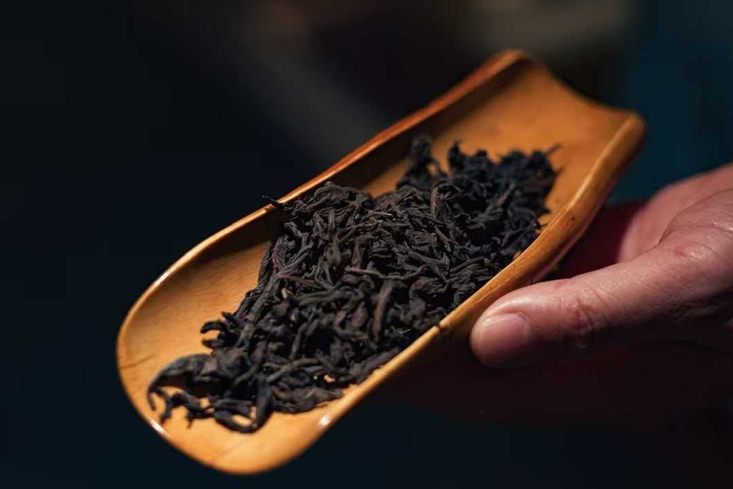 The Name of Da Hong Pao: A Taste of 2025 Pure Qidan from Tongxinshe Teahouse奇丹
