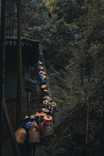 Load image into Gallery viewer, 2025 Tongxinshe Teahouse Tribute Da Hong Pao &quot;Anxiang (Hidden Fragrance)&quot; Makes a Grand Debut
