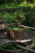 Load image into Gallery viewer, Rare "Niurou" Launched | Tongxinshe Teahouse’s 2025 Niulan Keng Rou Gui with Two Charcoal-Roasted Versions, Presenting Authentic Rock Tea Flavor
