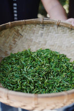 Load image into Gallery viewer, Tongxin She Teahouse | 2026 Premium West Lake Longjing Pre-sale，Baihefeng Yuantoumen: The Hidden Spirit of Jiangnan’s Spring Mountains
