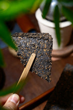 Load image into Gallery viewer, 2008 Custom‑Made Gong Ting Ripe Puer Brick Aged in Shenzhen Dry Warehouse — Mellow &amp; Peaceful Tea Forged by Years Produced by Tongxin‑She Teahouse｜Full Brick: 2 kg
