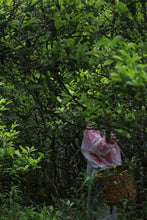Load image into Gallery viewer, Tongxinshe Teahouse | 2026 Phoenix Dancong Pomelo Blossom Fragrance · Limited Free Tasting柚花香
