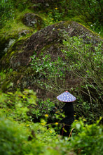 Load image into Gallery viewer, Zhengyan Jin Mu Dan: The Floral Pinnacle of Wuyi Rock Tea。弥陀岩金牡丹
