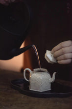 Load image into Gallery viewer, Tao Ming Tang Liu Leng Teapot
