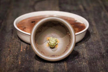 Load image into Gallery viewer, Yixing Qing Hui Duan Ni handmade, frog teacup

