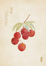 Load image into Gallery viewer, &quot;Fei Zi Xiao&quot; black tea from Tongmuguan in Wuyishan, Fujian
