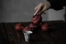 Load image into Gallery viewer, Bubble bottle Zhu Ni teapot/95cc/120cc limited time special offer, free shipping worldwide.
