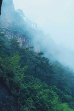 Load image into Gallery viewer, Wuyi Mountain Rock Tea &quot;Su Xin Lan&quot;
