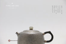 Load image into Gallery viewer, Man Sheng sterling silver teapot
